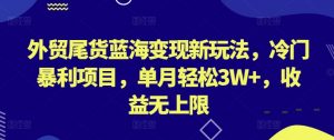 外贸尾货蓝海变现新玩法，冷门暴利项目，单月轻松3W+，收益无上限【揭秘】-虚拟资源库
