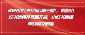 2024小红书文创(第三期),教你小红书如何养号和开店,小红书直播带货卖文创等-虚拟资源库