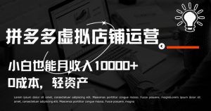 拼多多虚拟店铺运营小白也能月收入10000+【揭秘】-虚拟资源库