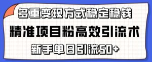 精准项目粉高效引流术，新手单日引流50+，多重变现方式稳定赚钱【揭秘】-虚拟资源库