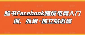 脸书Facebook跨境电商入门课，外贸·独立站必修-虚拟资源库