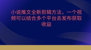 小说推文全新剪辑方法，一个视频可以结合多个平台去发布获取【揭秘】-虚拟资源库
