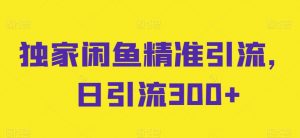 独家闲鱼精准引流,日引流300+【揭秘】-虚拟资源库