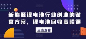 新能源锂电池行业创业的财富方案，锂电池回收高阶课-虚拟资源库