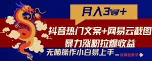 抖音热门文案+网易云截图暴力涨粉拉爆收益玩法，小白无脑操作，简单易上手【揭秘】-虚拟资源库