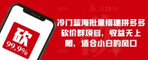 冷门蓝海批量搭建拼多多砍价群项目,收益无上限,适合小白的风口【揭秘】-虚拟资源库
