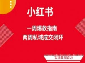 爆款小红书免费流量体系课程(两周变现)，小红书电商教程-虚拟资源库