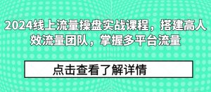 2024线上流量操盘实战课程，搭建高人效流量团队，掌握多平台流量-虚拟资源库