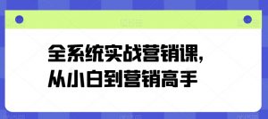 全系统实战营销课，从小白到营销高手-虚拟资源库