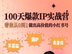 小红书100天爆款IP实战营，带你从0到1做出高价值的小红书号-虚拟资源库