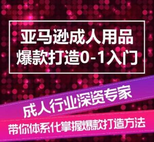 亚马逊成人用品爆款打造0-1入门，系统化讲解亚马逊成人用品爆款打造的流程-虚拟资源库