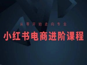 从零开始走向专业,小红书电商进阶课程-虚拟资源库