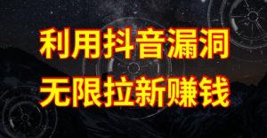 利用抖音链接漏洞，无限拉新赚钱【漏洞原理+操作流程】【揭秘】-虚拟资源库