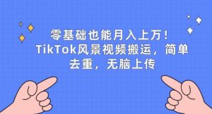 零基础也能月入上w，TikTok风景视频搬运，简单去重，无脑上传【揭秘】-虚拟资源库