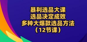 暴利选品大课:选品决定成败,教你多种大爆款选品方法(12节课)-虚拟资源库