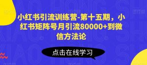 小红书引流训练营-第十五期,小红书矩阵号月引流80000+到微信方法论-虚拟资源库