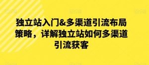 独立站入门&多渠道引流布局策略，详解独立站如何多渠道引流获客-虚拟资源库