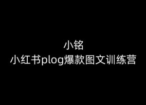 小铭-小红书plog爆款图文训练营,教你从0-1做小红书-虚拟资源库