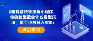 0粉抖音快手挂载小程序，你的脸型适合什么发型玩法，新手小白日入300+【揭秘】-虚拟资源库