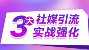3大社媒引流实战强化，多渠道站外引流，高效精准获客，订单销售额翻倍增长-虚拟资源库