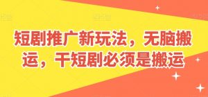 短剧推广新玩法，无脑搬运，干短剧必须是搬运【揭秘】-虚拟资源库