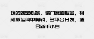 玩的就是心跳,偏门赛道掘金,视频搬运简单剪辑,多平台分发,适合新手小白【揭秘】-虚拟资源库