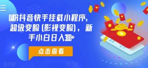 0粉抖音快手挂载小程序，超级变脸(影视变脸)，新手小白日入300+【揭秘】-虚拟资源库