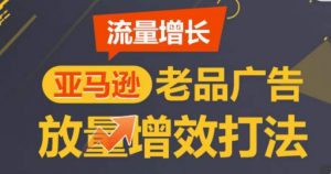 亚马逊流量增长-老品广告放量增效打法，循序渐进，打造更多TOP listing​-虚拟资源库