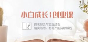 小白成长创业课：追求理论与实践结合，踏实落地，有尊严的持续赚钱-42节-虚拟资源库
