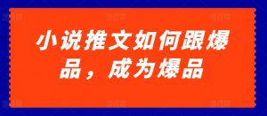 小说推文如何跟爆品，成为爆品【揭秘】-虚拟资源库