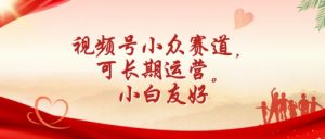 视频号小众赛道，可长期运营，小白友好【揭秘】-虚拟资源库
