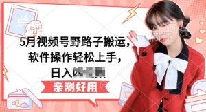 5月视频号野路子搬运，软件操作轻松上手，日入三位数【揭秘】-虚拟资源库