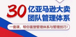 30亿亚马逊大卖团队管理体系，一套课，帮你重塑管理体系与管理技巧-虚拟资源库