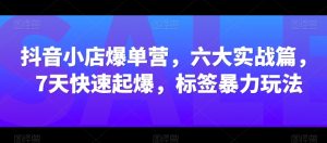 抖音小店爆单营,六大实战篇,7天快速起爆,标签暴力玩法-虚拟资源库