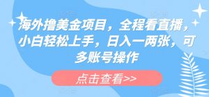 海外撸美金项目,全程看直播,小白轻松上手,日入一两张,可多账号操作【揭秘】-虚拟资源库