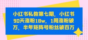 小红书私教第七期，小红书90天涨粉18w，1周涨粉破万，半年矩阵号粉丝破百万-虚拟资源库