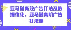 亚马逊高效广告打法及数据优化，亚马逊高阶广告打法课-虚拟资源库