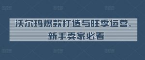 沃尔玛爆款打造与旺季运营，新手卖家必看-虚拟资源库