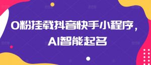 0粉挂载抖音快手小程序，AI智能起名-虚拟资源库
