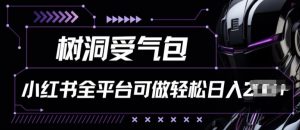 小红书等全平台树洞受气包项目,轻松日入一两张【揭秘】-虚拟资源库