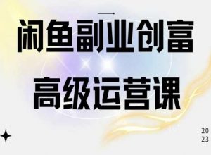 闲鱼电商运营高级课程，一部手机学会闲鱼开店赚钱-虚拟资源库