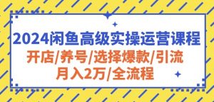 2024闲鱼高级实操运营课程：开店/养号/选择爆款/引流/月入2万/全流程-虚拟资源库