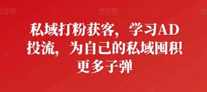 私域打粉获客，学习AD投流，为自己的私域囤积更多子弹-虚拟资源库