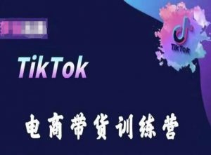 TikTok电商带货训练营,跟随时代潮流,跨境掘金-虚拟资源库