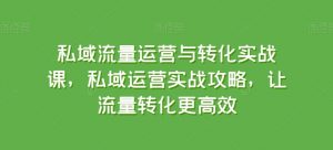 私域流量运营与转化实战课，私域运营实战攻略，让流量转化更高效-虚拟资源库