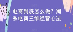 电商到底怎么做？淘系电商三维经营心法-虚拟资源库