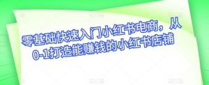 零基础快速入门小红书电商,从0-1打造能赚钱的小红书店铺-虚拟资源库