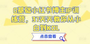 0基础小红书博主IP训练营,37天天教你从小白到KOL-虚拟资源库