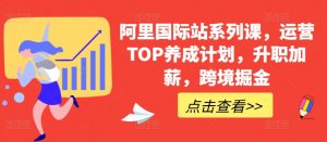 阿里国际站系列课，运营TOP养成计划，升职加薪，跨境掘金-虚拟资源库