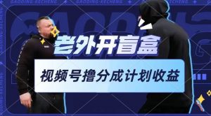 老外开盲盒视频,撸视频号分成计划收益,每天只需一小时,新手小白轻松上手【揭秘】-虚拟资源库